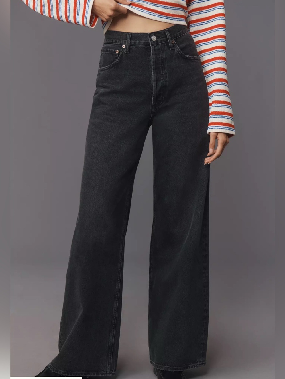 AGOLDE Dame High-Rise Wide-Leg Jeans